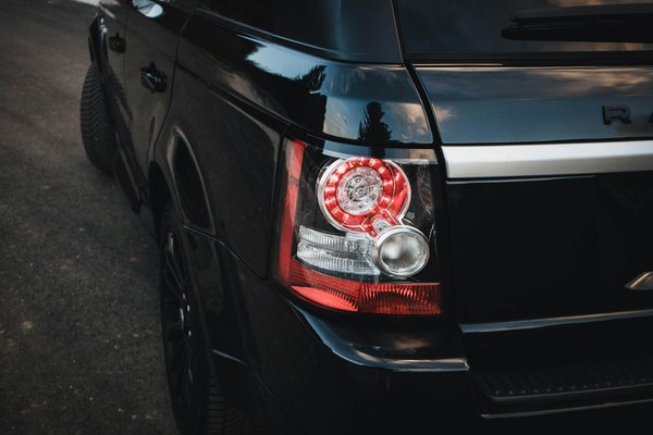 Secretos para un año próspero: Cómo asegurar la felicidad de tus mascotas